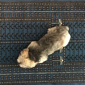 Meet your Posher, Allison